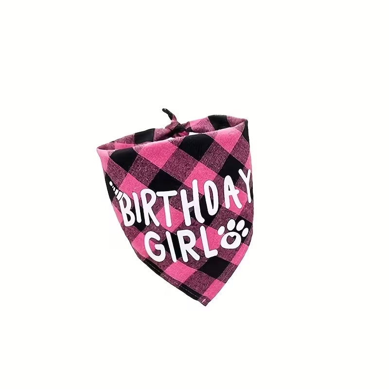 Birthday Girl Pet Bandana & hat set