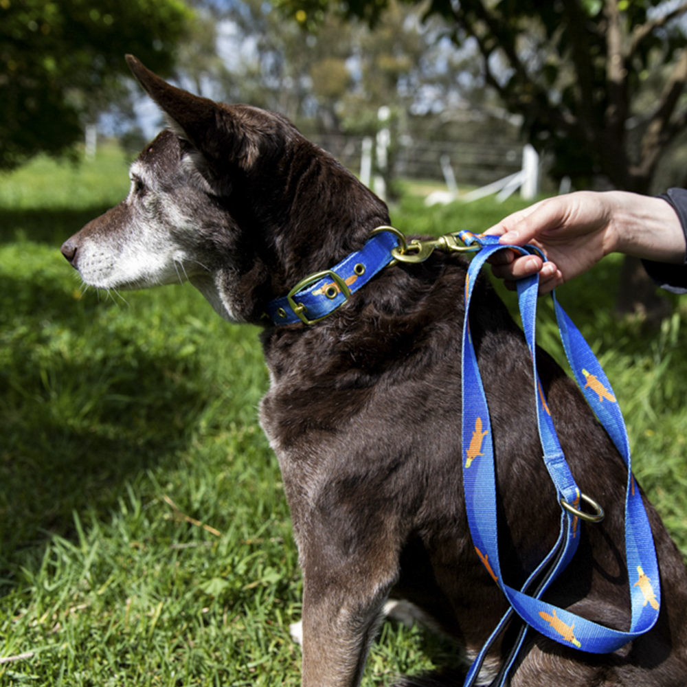 Anipal Piper The Platypus Eco-Friendly Dog Leash