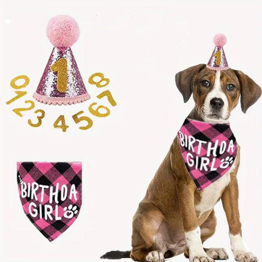 Birthday Girl Pet Bandana & hat set