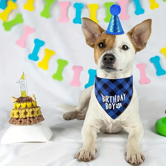 Birthday Boy Pet Bandana & Hat Set