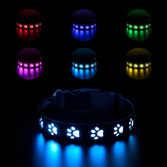 Rechargeable LED Pet Collar - Waterproof Light-Up Dog Collar with 7 Colour Modes