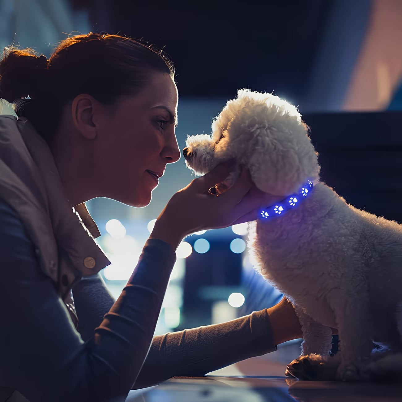 Rechargeable LED Pet Collar - Waterproof Light-Up Dog Collar with 7 Colour Modes