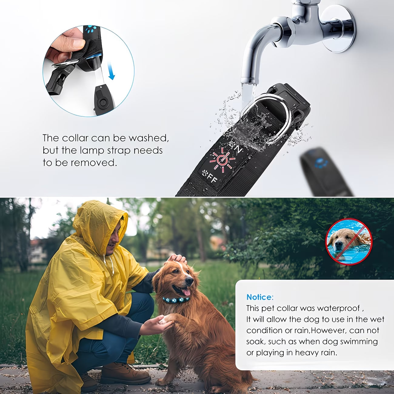 Rechargeable LED Pet Collar - Waterproof Light-Up Dog Collar with 7 Colour Modes