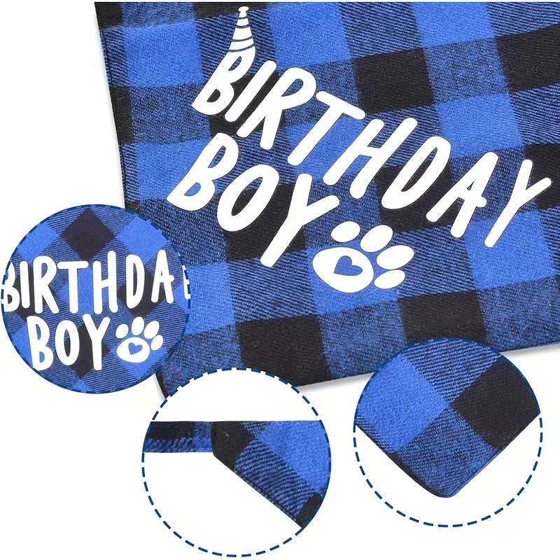 Birthday Boy Pet Bandana & Hat Set