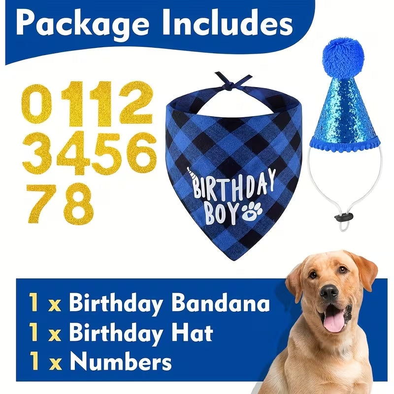 Birthday Boy Pet Bandana & Hat Set