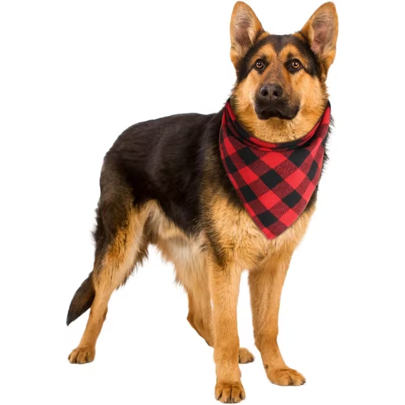 Red Buffalo Plaid Pet Bandana
