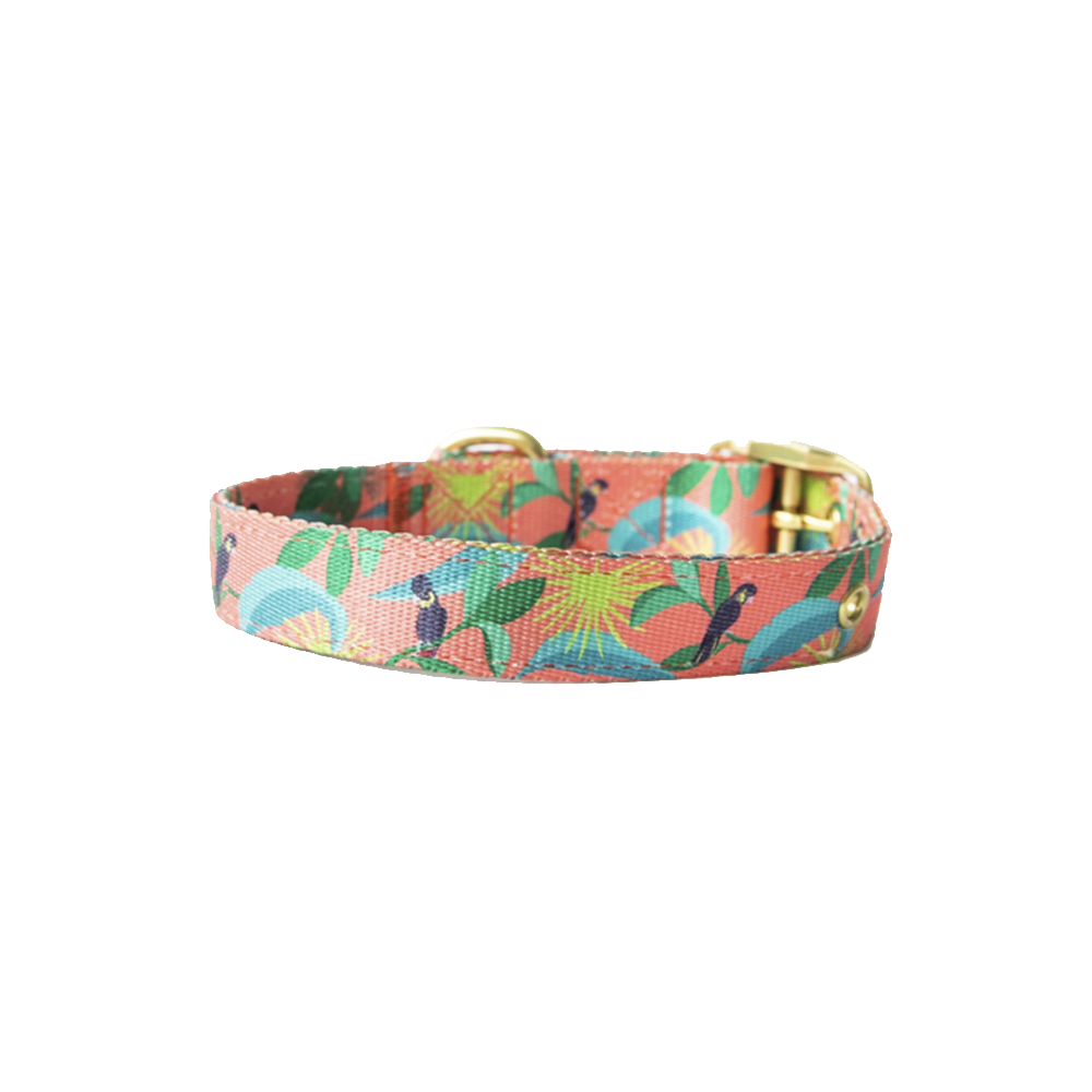 Anipal Clancy The Black Cockatoo Eco-Friendly Dog Collar Small