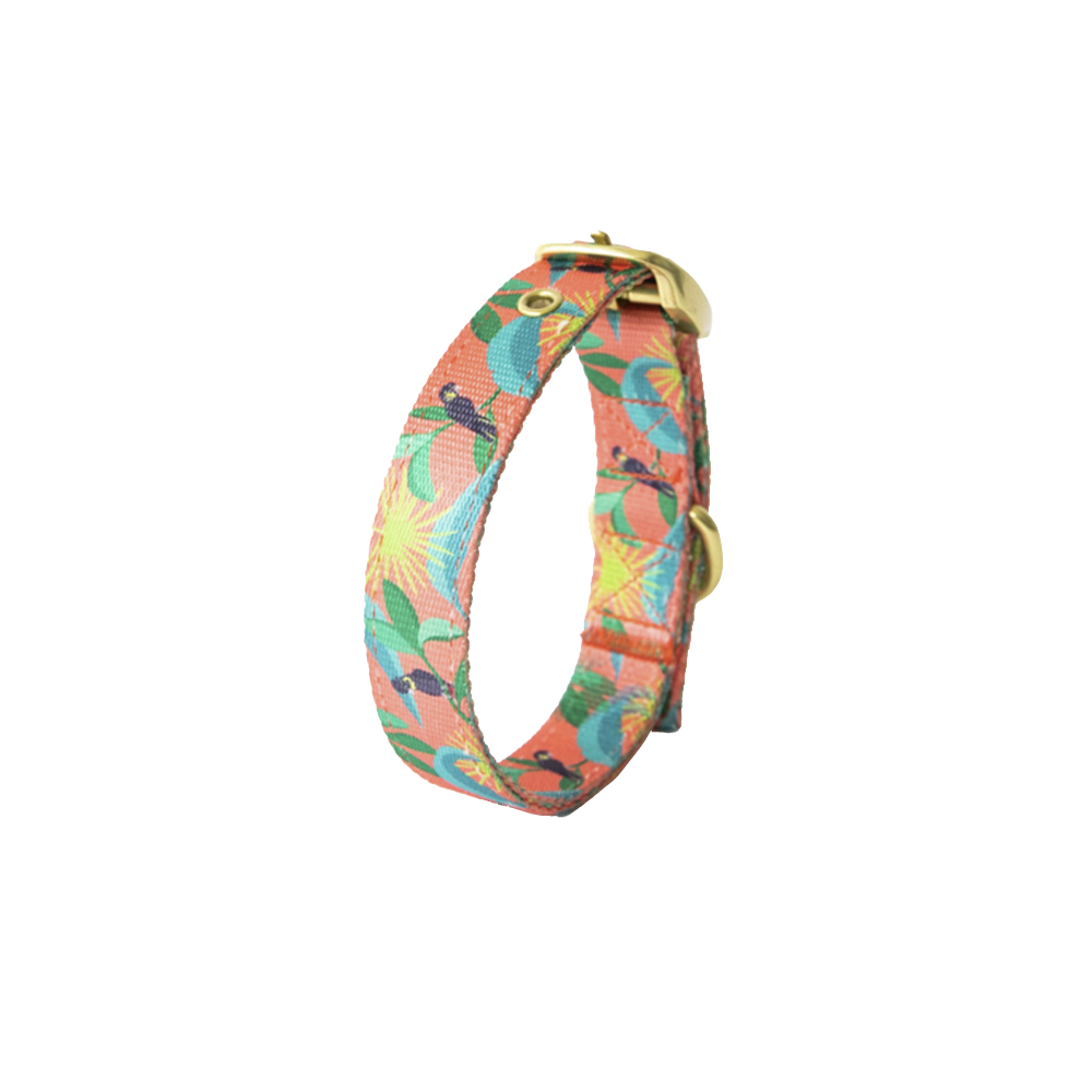 Anipal Clancy The Black Cockatoo Eco-Friendly Dog Collar Small