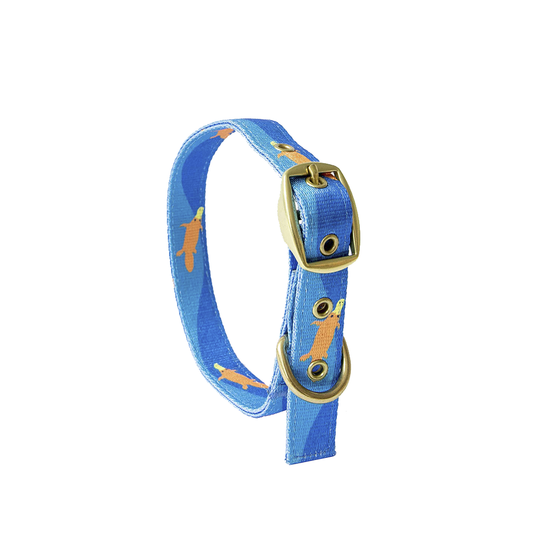 Anipal Piper The Platypus Eco-Friendly Dog Collar