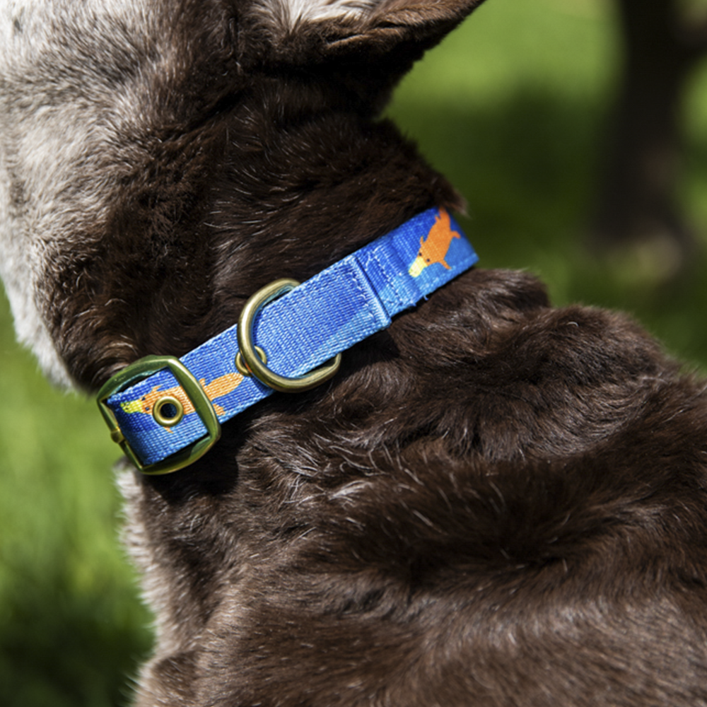 Anipal Piper The Platypus Eco-Friendly Dog Collar
