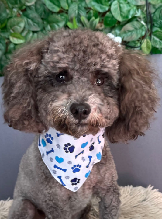 Blue Paw Print Pet Bandana Collar-adjustable