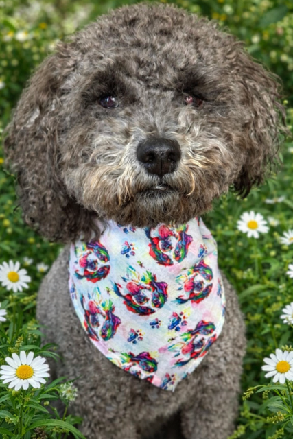 Dog Bandana Small - Floral Wreath Dogs