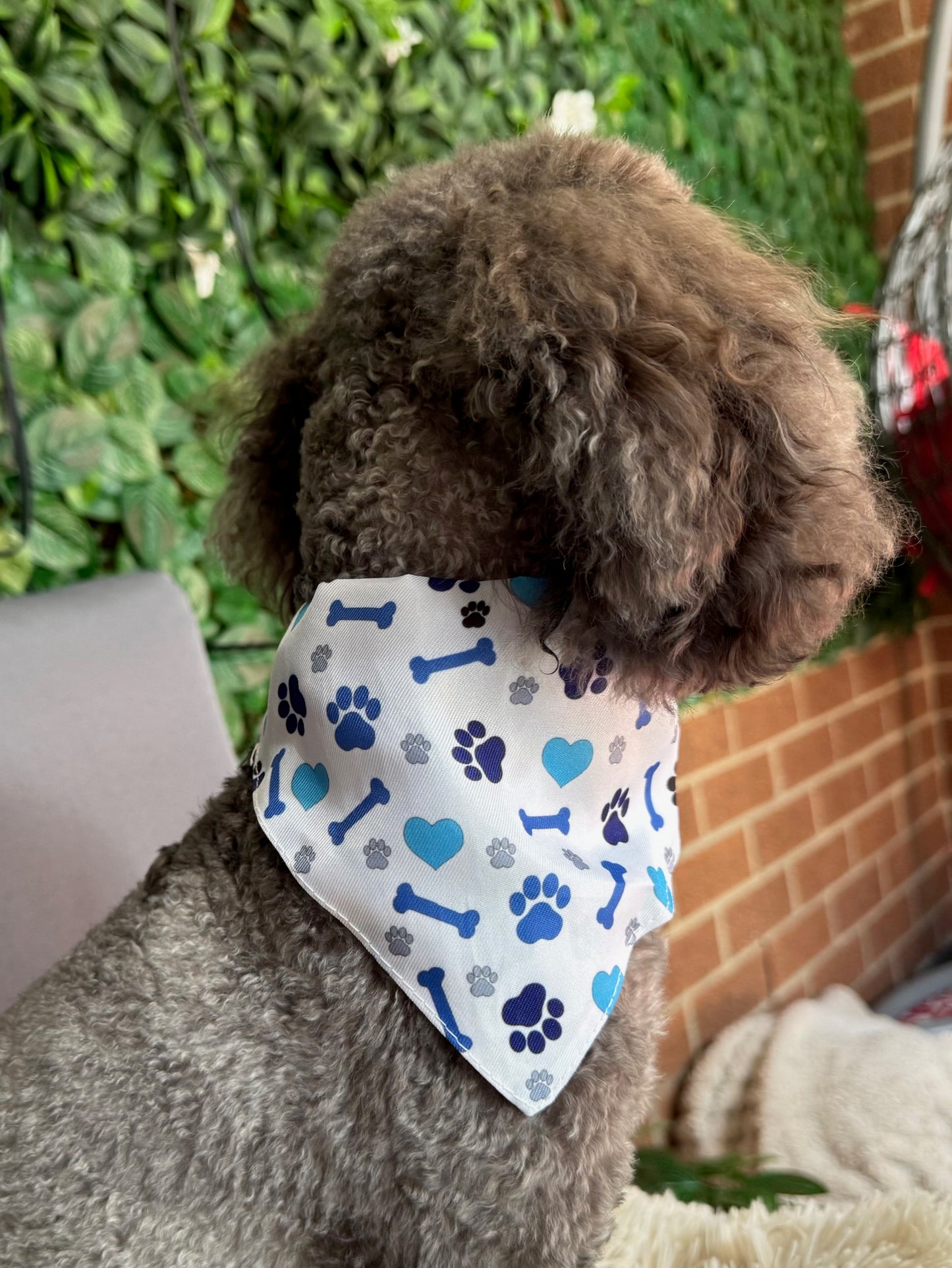 Blue Paw Print Pet Bandana Collar-adjustable