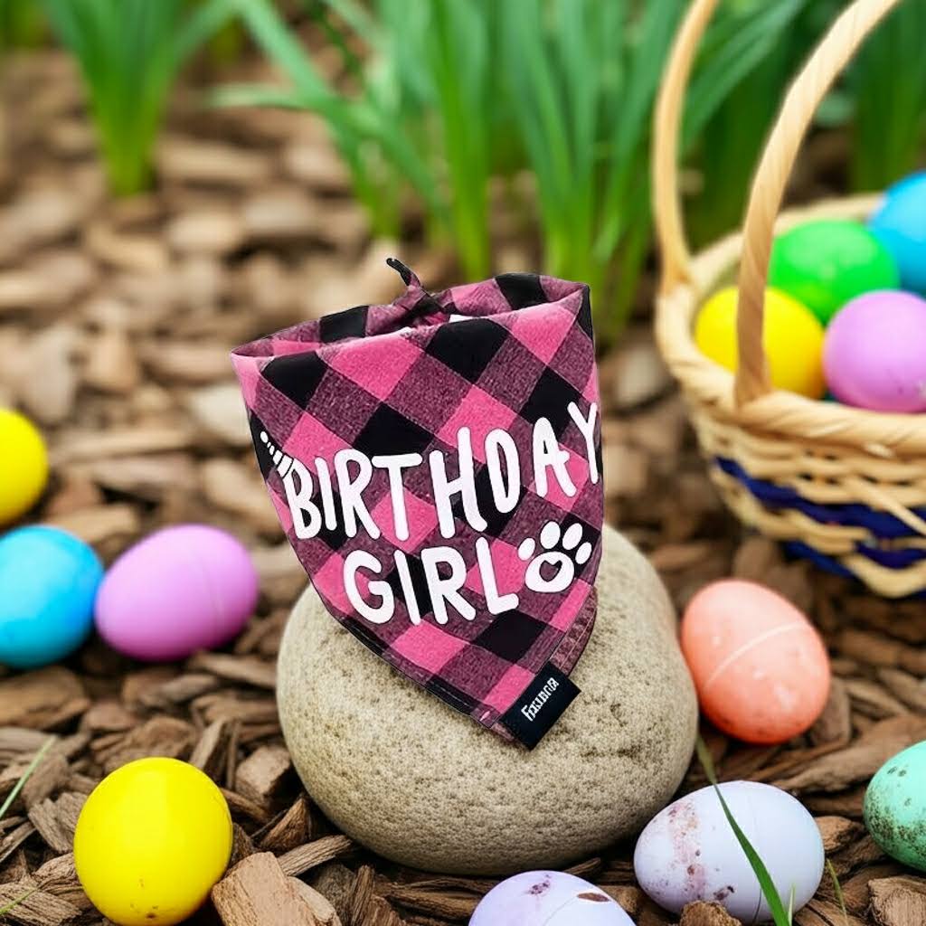 Birthday Girl Pet Bandana & hat set